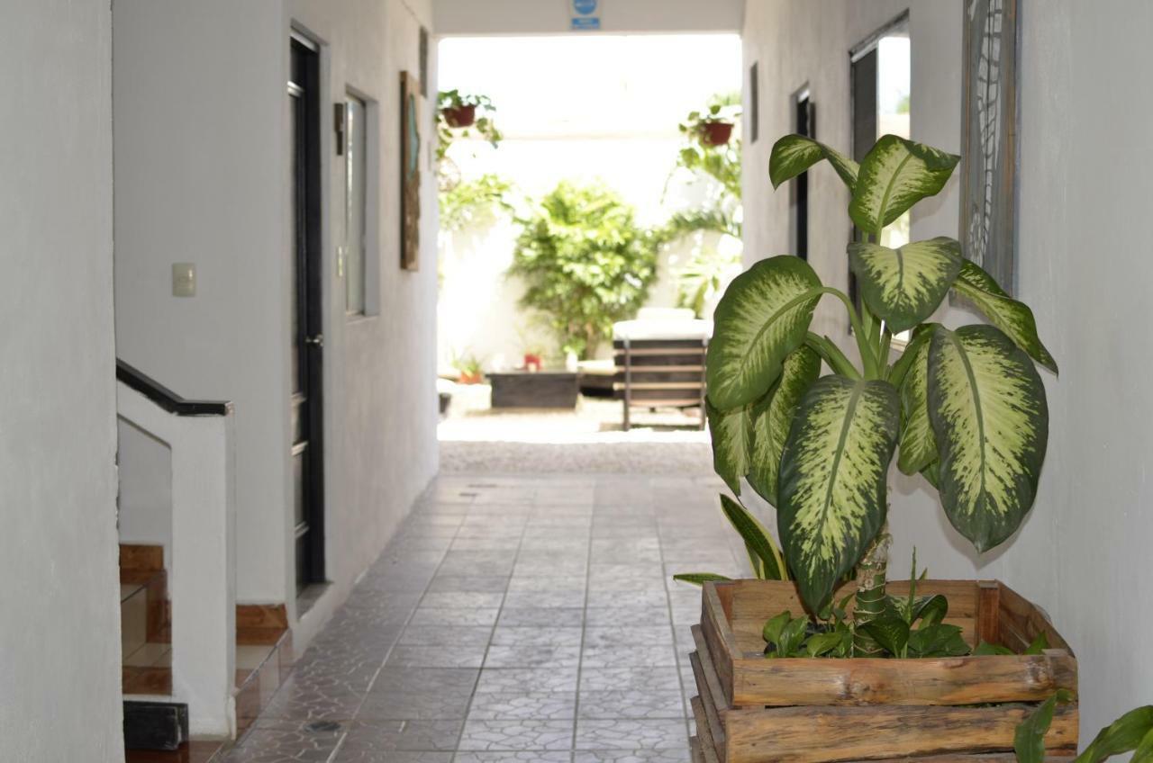 Hotel Nicte Ha Tulum Eksteriør billede